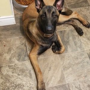 Meet your Posher, Richard